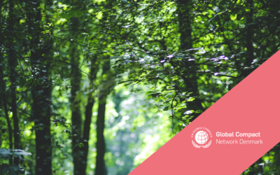 VALGT TIL BESTYRELSEN I GLOBAL COMPACT
